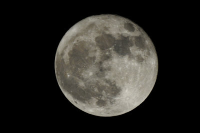 Super Moon, taken with Nikon Coolpix P900 at equivalent of 1792mm, ISO 200, full frame (DSCN0028)