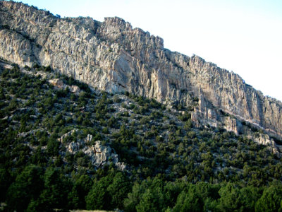 g10/21/783021/3/166988280.WyunRKzu.jpg