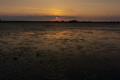 Sunset - Coucher de soleil