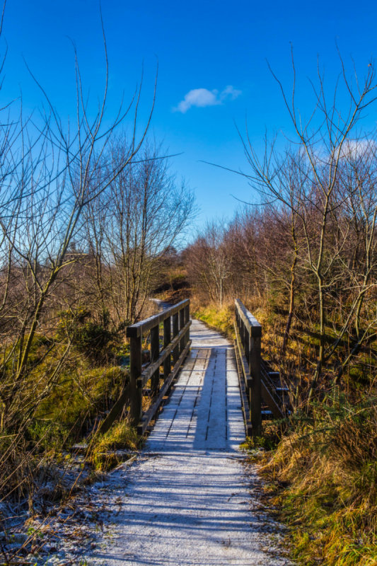 Frosty Path