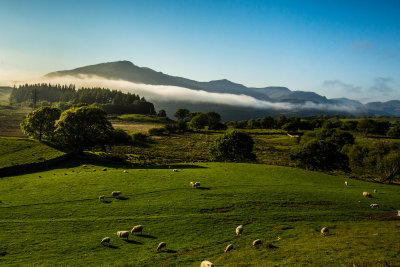 Mist Forming