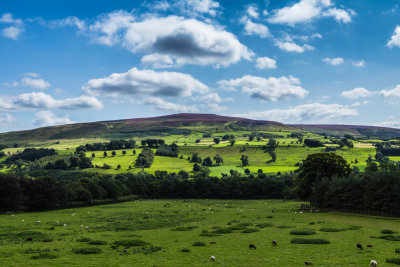 Yorkshire Dales