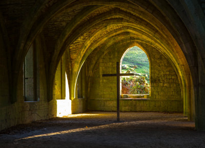 The Cellarium