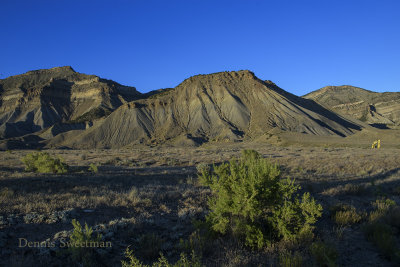 Grand Junction Colorado