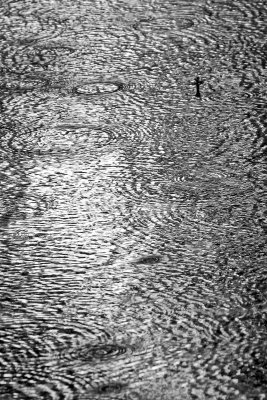 Lawn lake