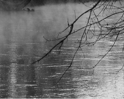 Branches over Antietam Creek