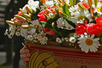 Walking_with_flowers