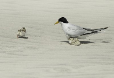 Day on the Beach.jpg