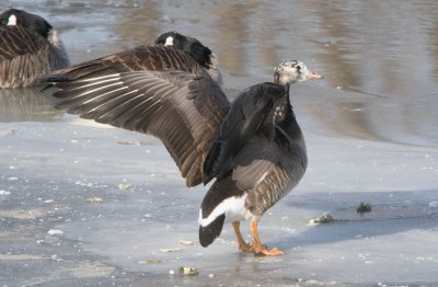 g10/22/1183022/3/165129900.JHllR8LK.jpg