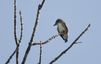 g10/22/1183022/3/166136461.Zn0QtVe4.jpg