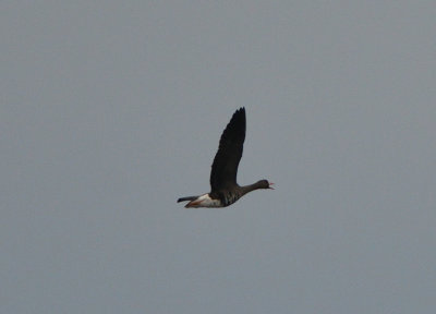 g10/22/1183022/3/168355068.sOcwBn6V.jpg