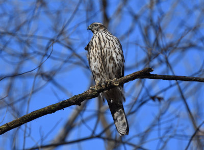 g10/22/1183022/3/168412091.AOKYnaz0.jpg