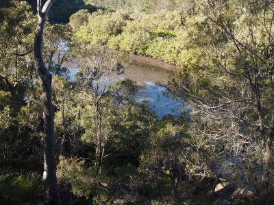 P8231192_s.jpg