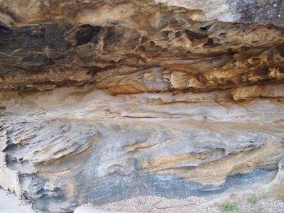P8231195_s.jpg