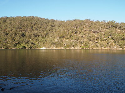 P8231200_s.jpg