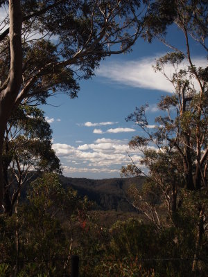 P9201246_s.jpg