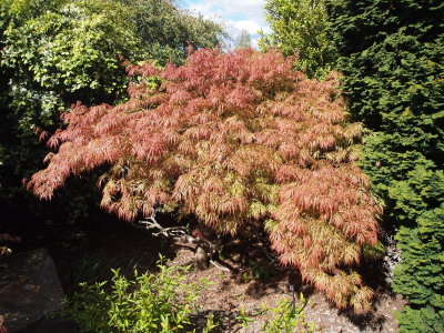 P9201221_s.jpg