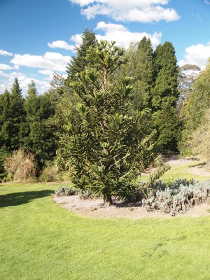 P9201232_s.jpg