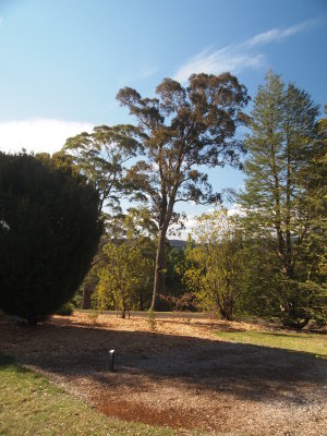 P9201235_s.jpg