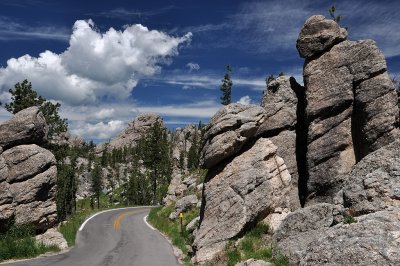 Needles Highway 01