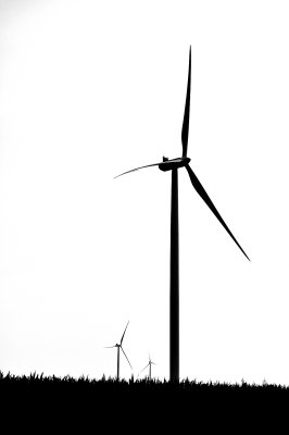 Corn and Windmills - Near Forsyth, Illinois