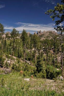 Custer State Park