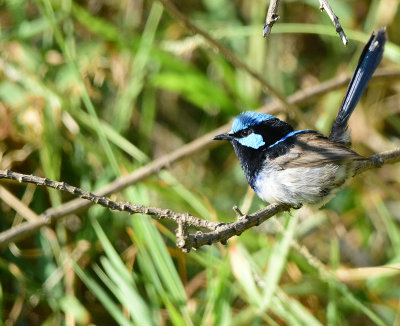 DSC_9728.jpg