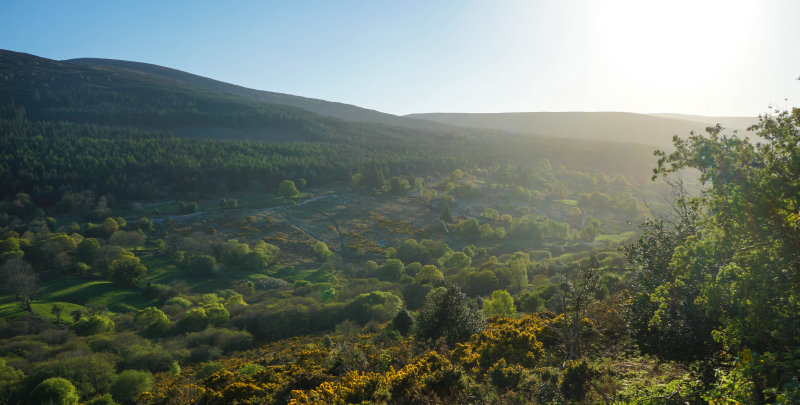 Glen Cree, Wicklow, Ireland