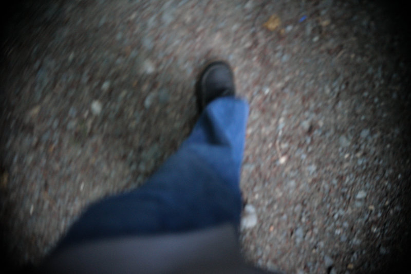 My Foot in Knocksink Woods