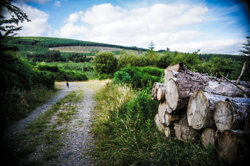 Glen Cree, Ireland