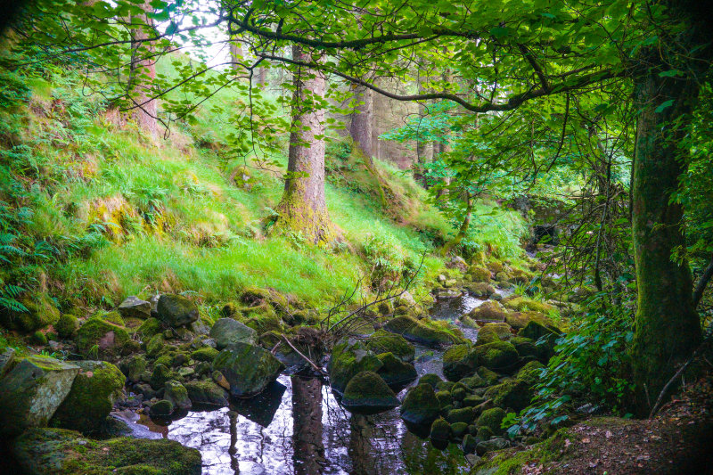 erman Memorial Garden, Glen Cree, Ireland