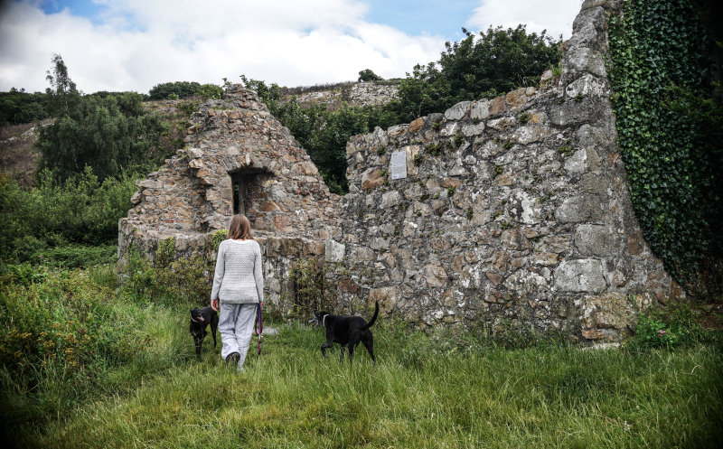 Raheen A Cluig, Bray Head, Ireland