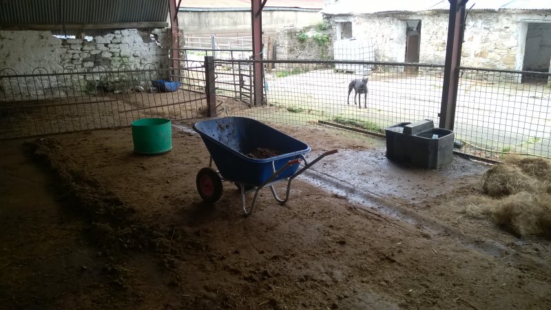 Cleaning up stables