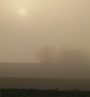 Dimma med sol i Baldringe