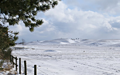 Lite snö på Hammars backar, nära Ystad, Skåne