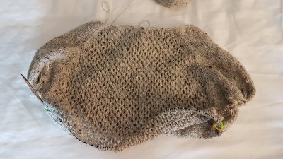 20170403_114521.jpg