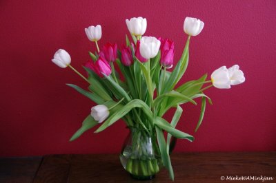 A vase with tulips