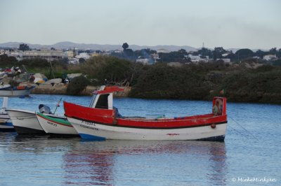 Little fishing boat