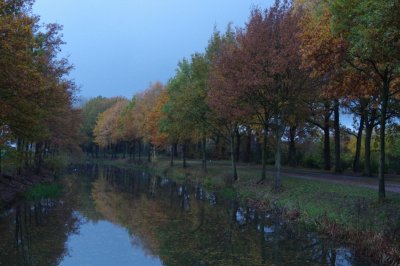 Reflection