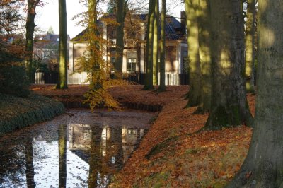Reflection