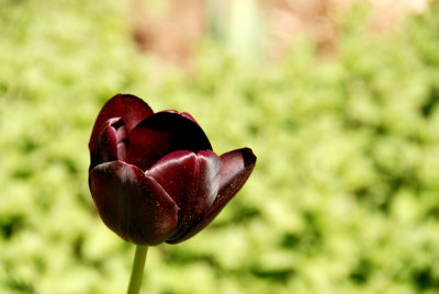 DSC_0213.JPG