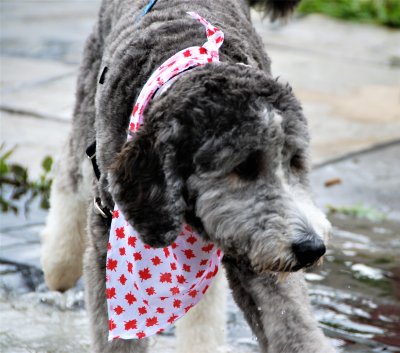 Yep, it is Canada Day
