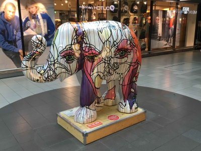 C'est tout juste si je ne vois pas des éléphants roses à l'aéroport !