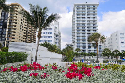 Miami Beach
