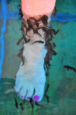 Feet fish