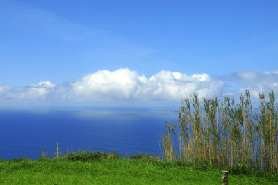 Sao Miguel Azores