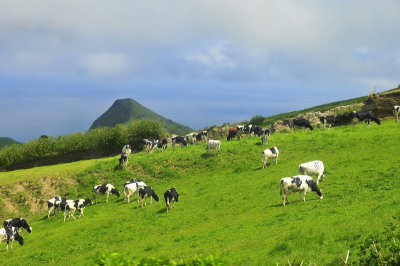 Sao Miguel Azores