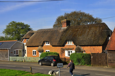 The New Forest - South of England