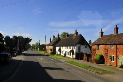 The New Forest - South of England