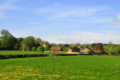 The New Forest - South of England